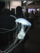 画像(135x180)・拡大画像(480x640)