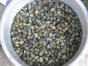 画像(180x135)・拡大画像(640x480)