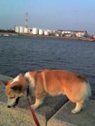 �摜(135x180)�E�g��摜(240x320)