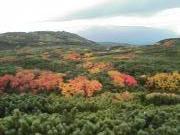 画像(180x135)・拡大画像(320x240)