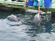 �摜(180x135)�E�g��摜(640x480)