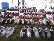 �摜(180x135)�E�g��摜(640x480)