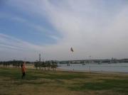 画像(180x134)・拡大画像(640x479)