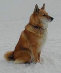 �摜(203x240)�E�g��摜(500x590)