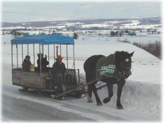 画像(320x240)・拡大画像(400x300)