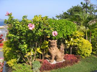 �摜(320x239)�E�g��摜(394x295)