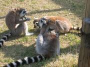 �摜(180x134)�E�g��摜(640x479)