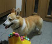 �摜(180x152)�E�g��摜(419x354)