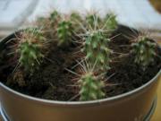 �摜(180x135)�E�g��摜(640x480)