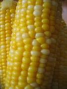 �摜(135x180)�E�g��摜(480x640)