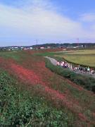 画像(135x180)・拡大画像(240x320)