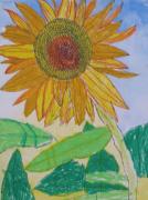 �摜(134x180)�E�g��摜(477x640)