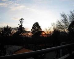 画像(240x191)・拡大画像(640x511)