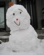 画像(142x180)・拡大画像(469x591)