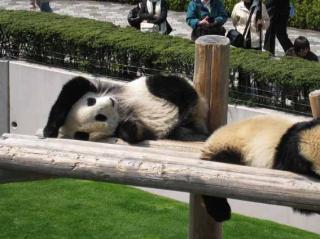 �摜(320x239)�E�g��摜(567x425)