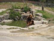 �摜(180x135)�E�g��摜(425x319)