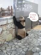 �摜(135x180)�E�g��摜(480x640)