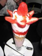 画像(136x180)・拡大画像(486x640)