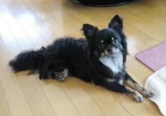 �摜(240x168)�E�g��摜(640x450)