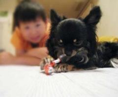 �摜(240x198)�E�g��摜(640x529)