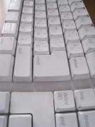 �摜(135x180)�E�g��摜(480x640)