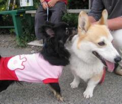 �摜(240x204)�E�g��摜(640x545)