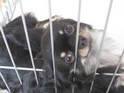 �摜(180x135)�E�g��摜(640x480)