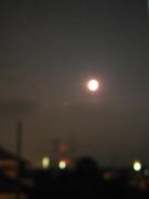 �摜(135x180)�E�g��摜(394x525)