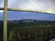 �摜(180x134)�E�g��摜(591x443)