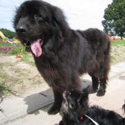 画像(180x180)・拡大画像(591x591)