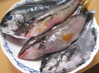 �摜(320x237)�E�g��摜(640x475)