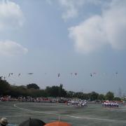 �摜(180x180)�E�g��摜(622x622)