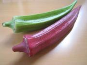 画像(180x134)・拡大画像(591x443)