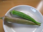 画像(180x134)・拡大画像(591x443)