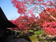 画像(180x134)・拡大画像(591x443)