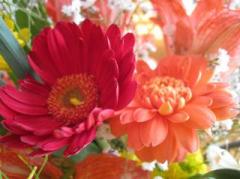 �摜(240x179)�E�g��摜(591x443)