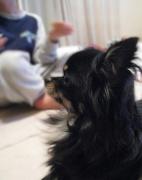 画像(142x180)・拡大画像(505x637)