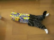 画像(180x133)・拡大画像(464x344)