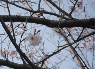 �摜(320x233)�E�g��摜(640x466)