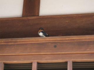 �摜(320x240)�E�g��摜(640x480)