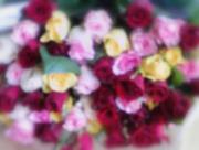 �摜(180x136)�E�g��摜(205x155)