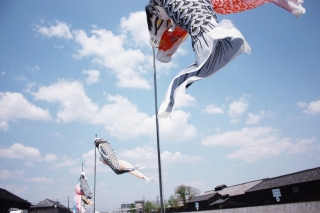 画像(320x213)・拡大画像(640x426)