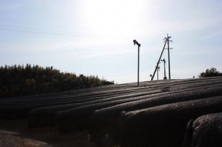 �摜(320x212)�E�g��摜(567x377)