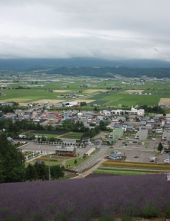 画像(246x320)・拡大画像(300x389)