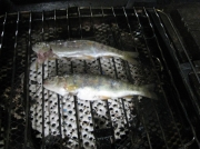 画像(180x134)・拡大画像(591x443)