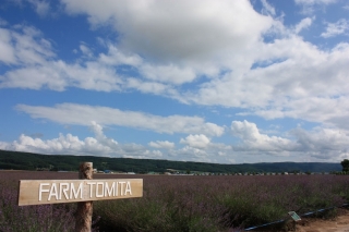 �摜(320x213)�E�g��摜(640x426)