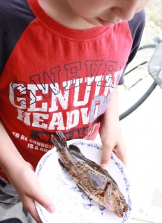 �摜(232x320)�E�g��摜(425x584)