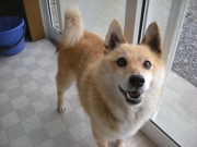 画像(180x135)・拡大画像(400x300)