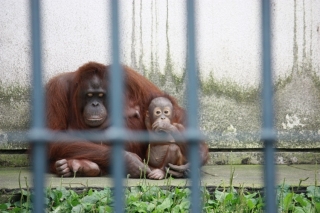 �摜(320x213)�E�g��摜(640x426)