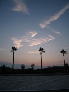 画像(239x320)・拡大画像(479x640)